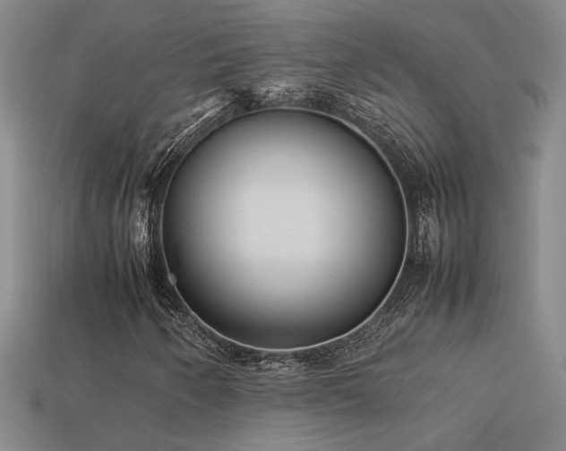 X0000113621250200909181432