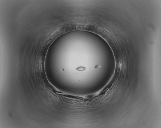 X0000113621252200909181432