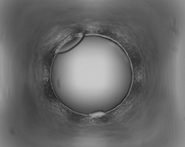 X0000113621253200909181432