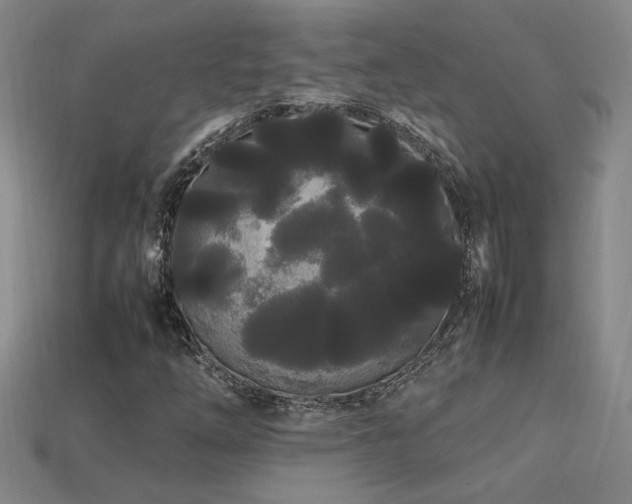 X0000113621254200909181432