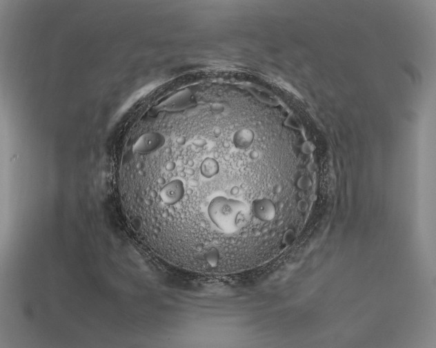 X0000113621255200909181432