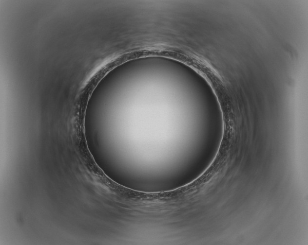 X0000113621256200909181432