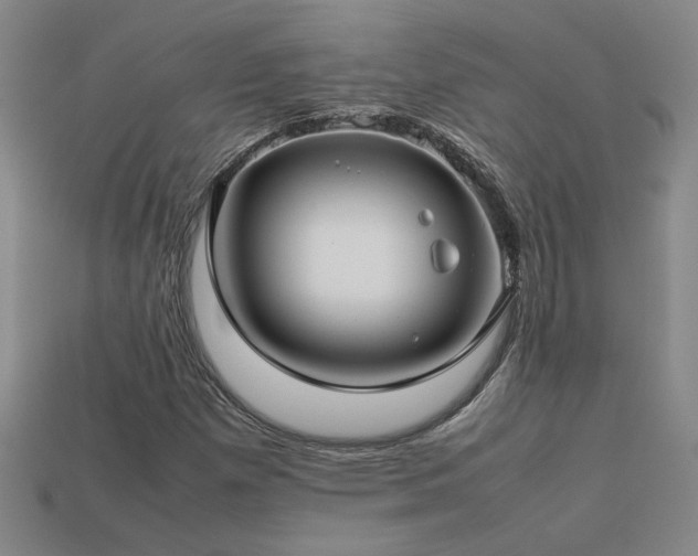 X0000113621257200909181432