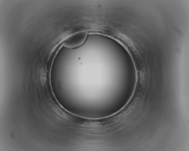 X0000113621260200909181432