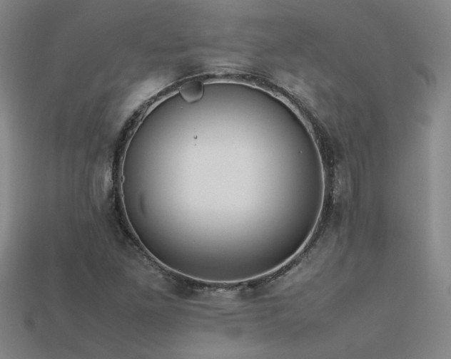 X0000113621261200909181432