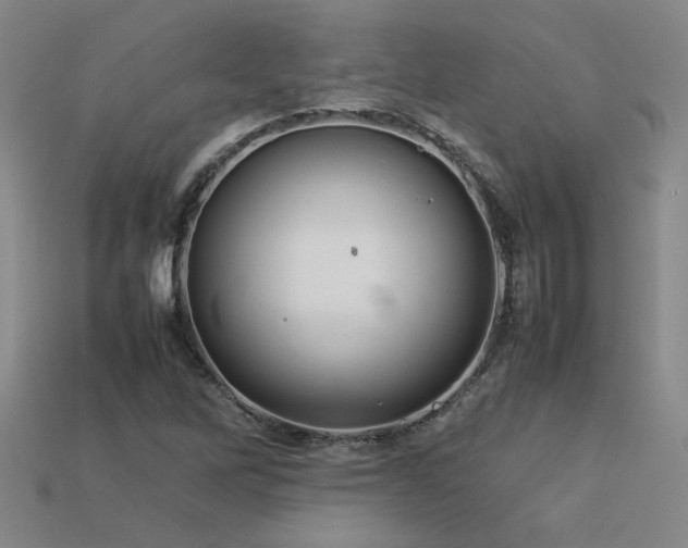 X0000113621262200909181432