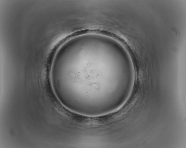 X0000113621263200909181432