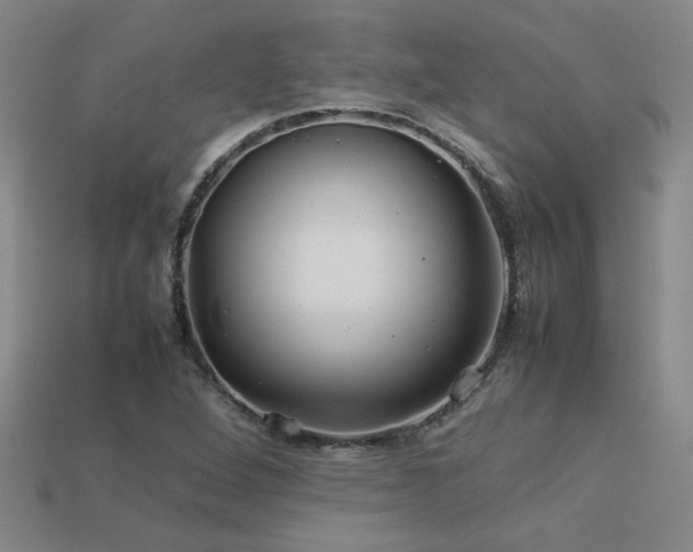 X0000113621264200909181432