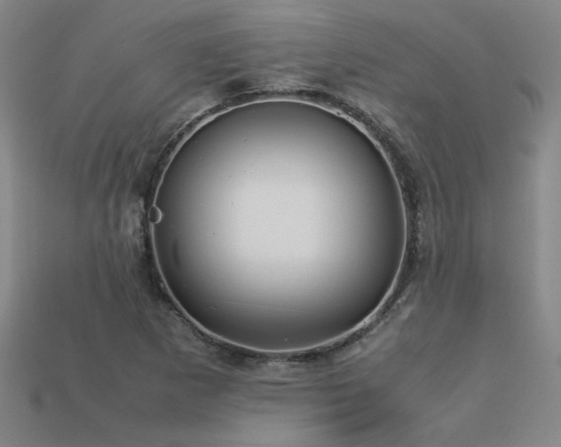 X0000113621265200909181432