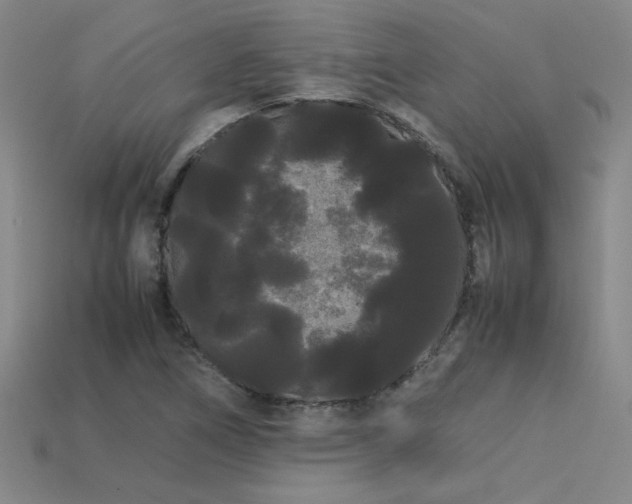 X0000113621266200909181432