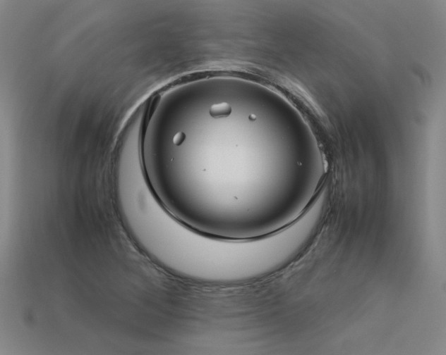 X0000113621268200909181432