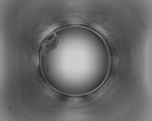 X0000113621269200909181432