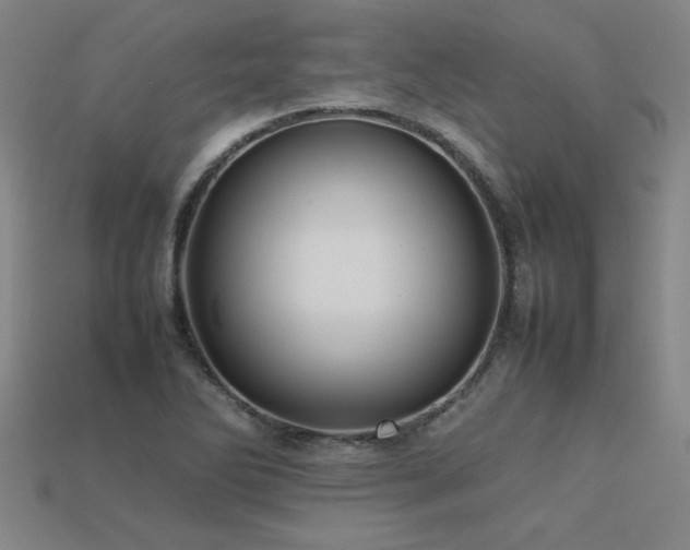 X0000113621270200909181432