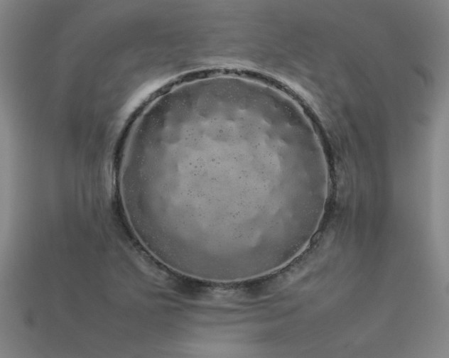 X0000113621271200909181432