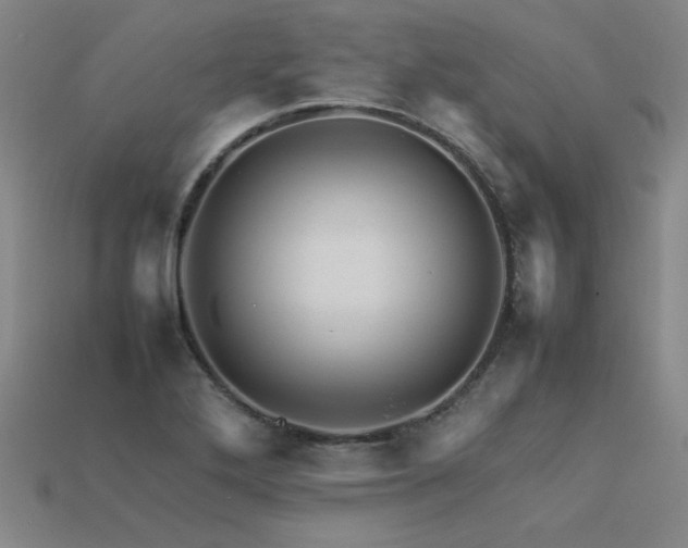 X0000113621272200909181432