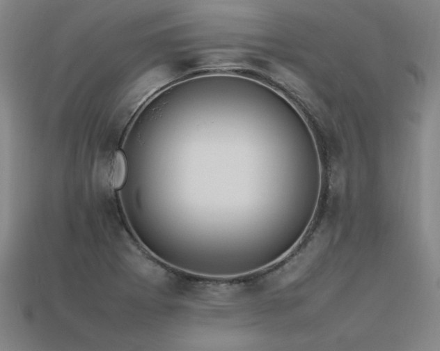 X0000113621273200909181432