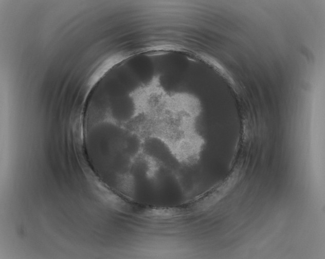 X0000113621274200909181432