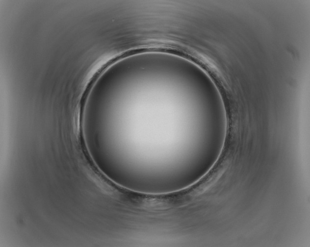 X0000113621275200909181432