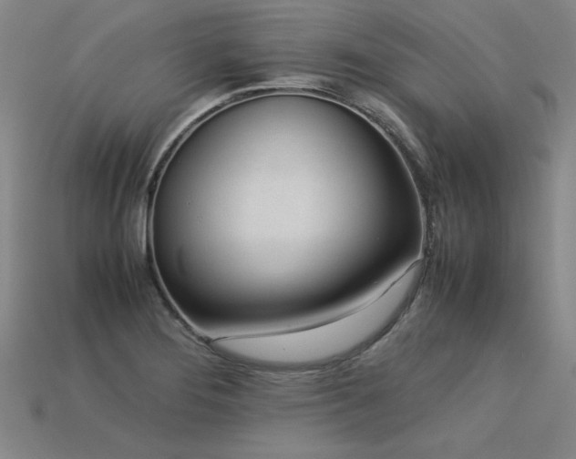 X0000113621276200909181432