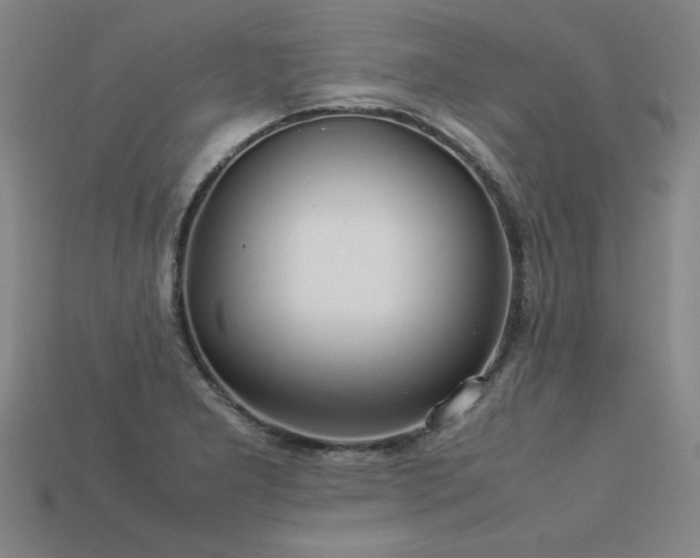 X0000113621277200909181432