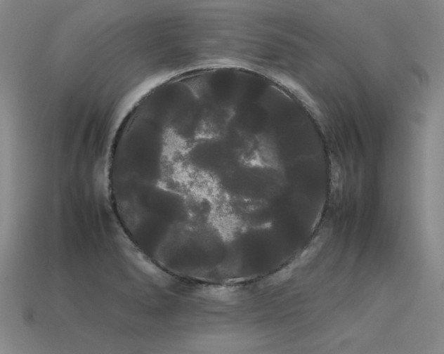 X0000113621278200909181432