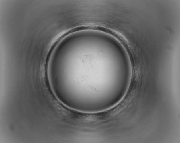 X0000113621279200909181432