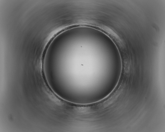 X0000113621280200909181432