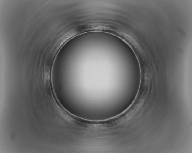 X0000113621281200909181432