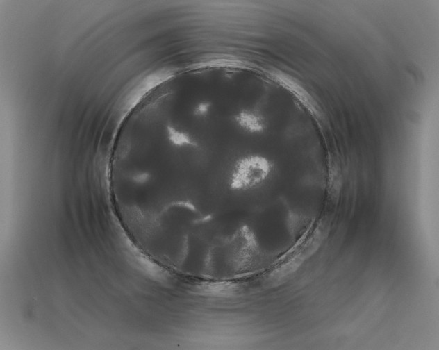 X0000113621282200909181432