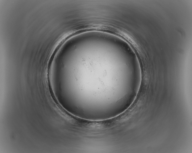 X0000113621283200909181432