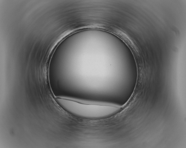 X0000113621284200909181432