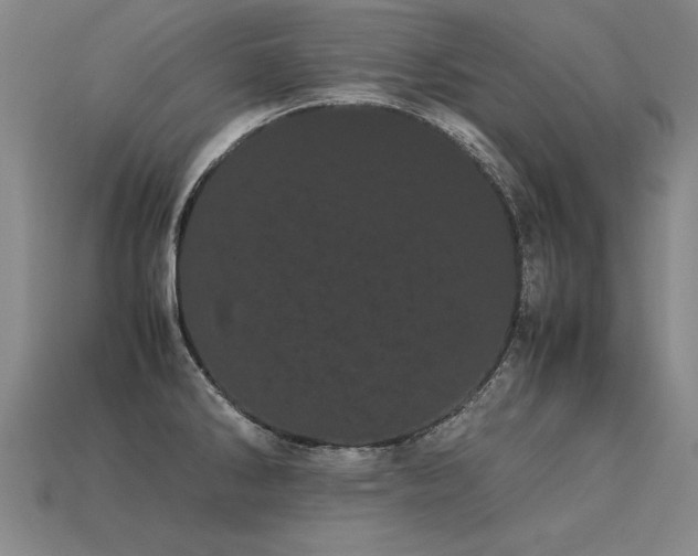 X0000113621286200909181432