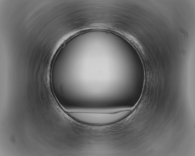 X0000113621288200909181432