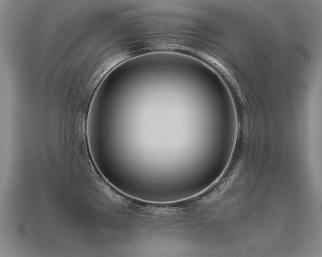 X0000113621289200909181432