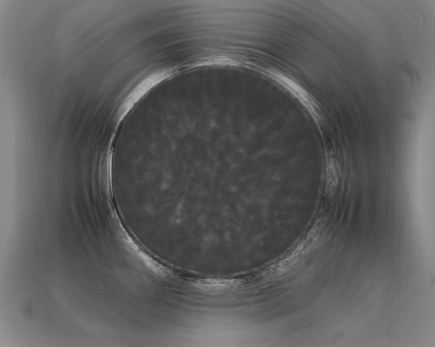 X0000113621290200909181432