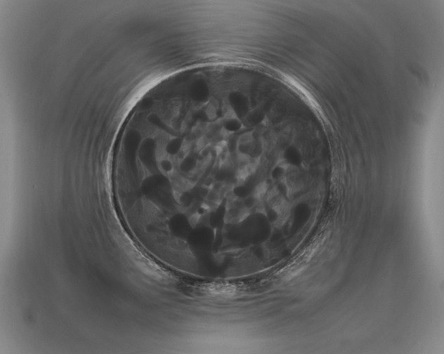 X0000113621291200909181432