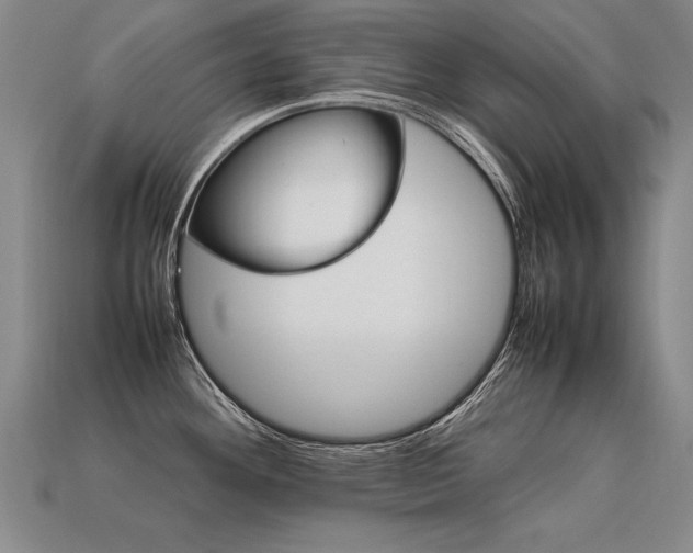 X0000113621292200909181432