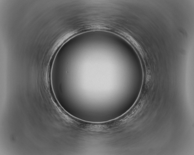 X0000113621293200909181432