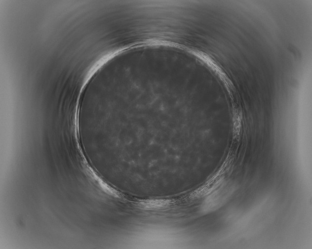 X0000113621294200909181431