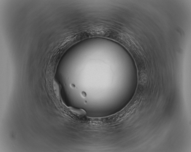 X0000113621297200909181431