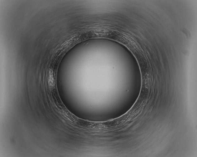 X0000113621298200909181431