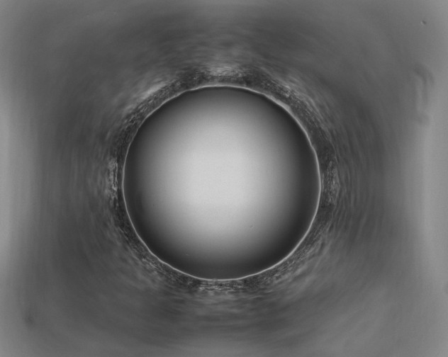 X0000113621301200909181431