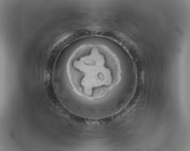 X0000113621302200909181431