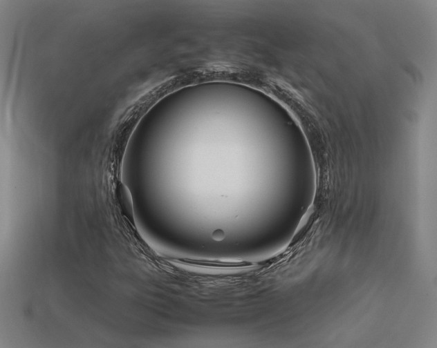 X0000113621303200909181431