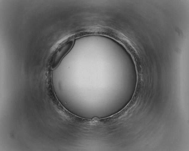 X0000113621304200909181431