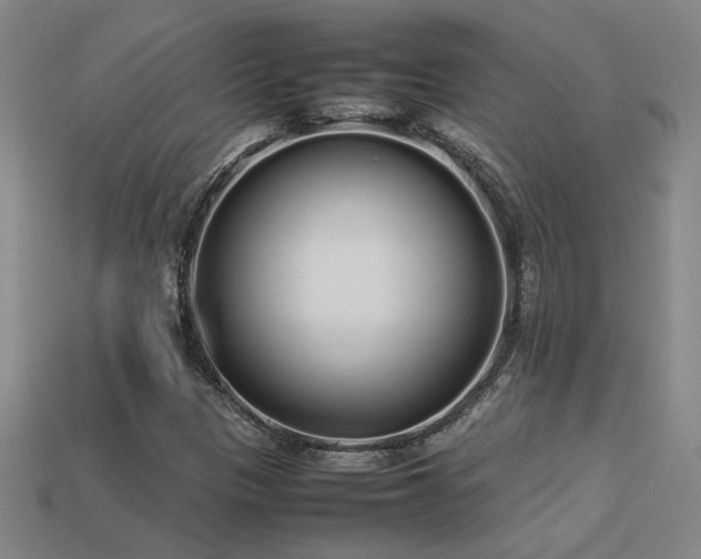 X0000113621305200909181431