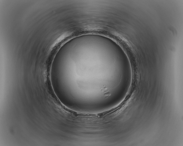 X0000113621306200909181431