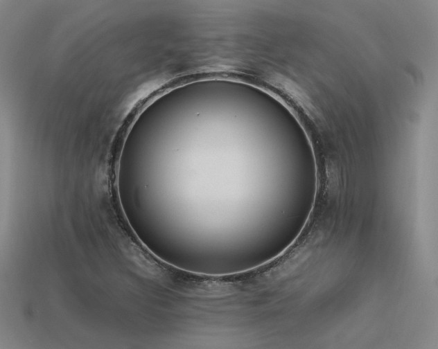 X0000113621308200909181431