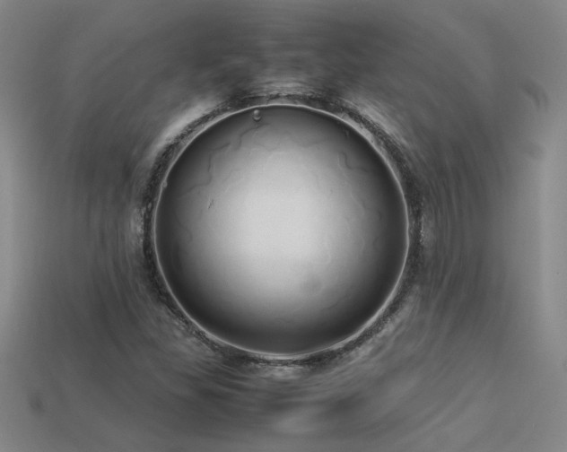 X0000113621309200909181431