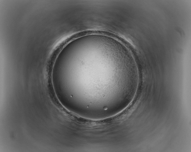 X0000113621311200909181431